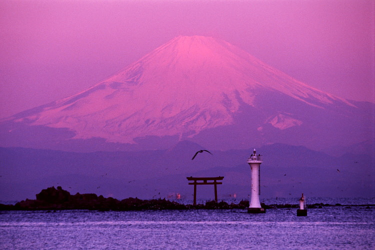 �����������ɖ߂�