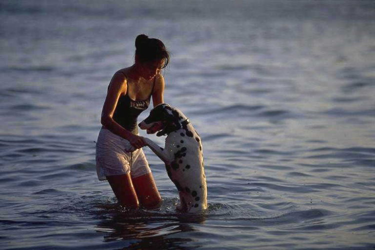 ���N���b�N�F�g�b�v�y�[�W�ɖ߂�A�E�N���b�N�F�摜����荞�ނƂ����ł��܂�