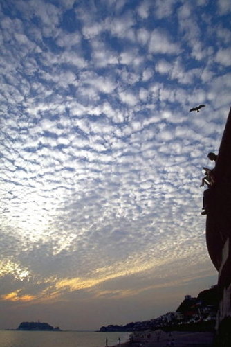 ���N���b�N:�g�b�v�y�[�W�ɖ߂�A�E�N���b�N:�摜����荞�ނƂ����ł��܂�