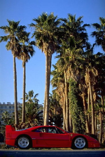 ���N���b�N:�g�b�v�y�[�W�ɖ߂�A�E�N���b�N:�摜����荞�ނƂ����ł��܂�