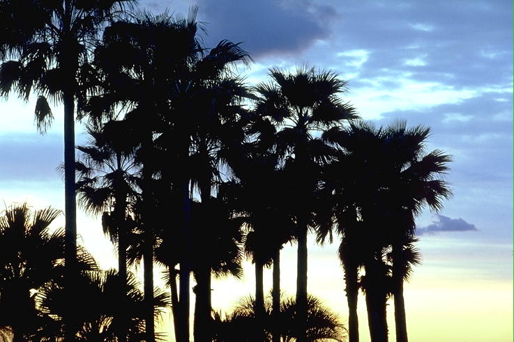 ���N���b�N�F�g�b�v�y�[�W�ɖ߂�A�E�N���b�N�F�摜����荞�ނƂ����ł��܂�