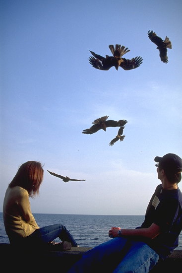 ���N���b�N�F�g�b�v�y�[�W�ɖ߂�A�E�N���b�N�F�摜����荞�ނƂ����ł��܂�