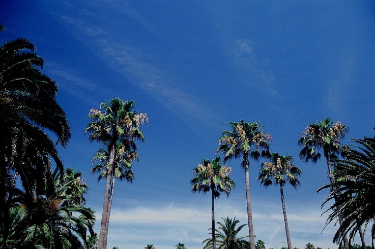 ���N���b�N�F�g�b�v�y�[�W�ɖ߂�A�E�N���b�N�F�摜����荞�ނƂ����ł��܂�