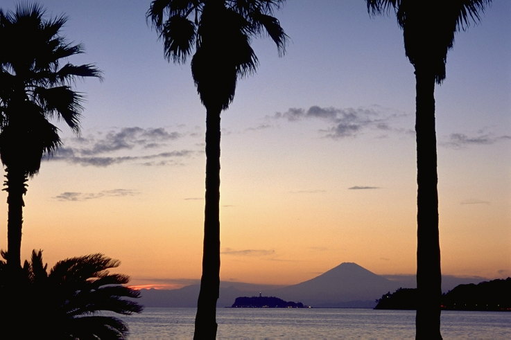 ���N���b�N�F�g�b�v�y�[�W�ɖ߂�A�E�N���b�N�F�摜����荞�ނƂ����ł��܂�