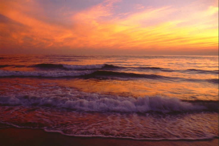 ���N���b�N�F�g�b�v�y�[�W�ɖ߂�A�E�N���b�N�F�摜����荞�ނƂ����ł��܂�