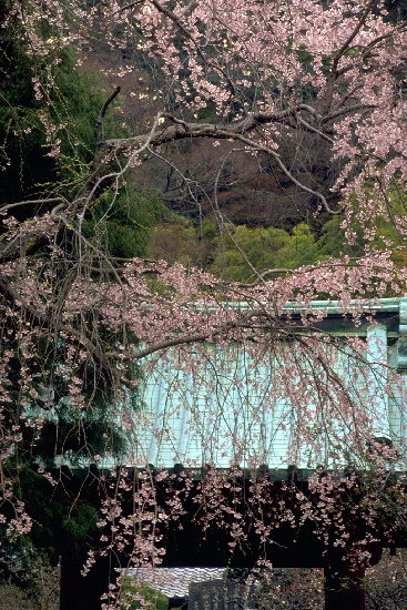 ���N���b�N�F�g�b�v�y�[�W�ɖ߂�A�E�N���b�N�F�摜����荞�ނƂ����ł��܂�