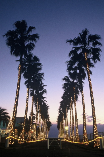 ���N���b�N:�g�b�v�y�[�W�ɖ߂�A�E�N���b�N:�摜����荞�ނƂ����ł��܂�