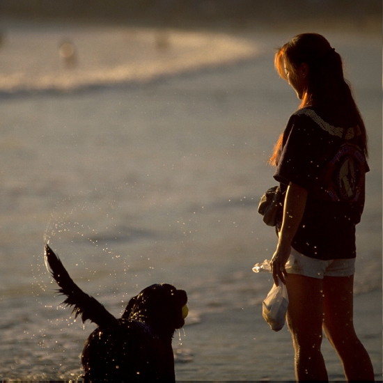 ���N���b�N�F�g�b�v�y�[�W�ɖ߂�A�E�N���b�N�F�摜����荞�ނƂ����ł��܂�