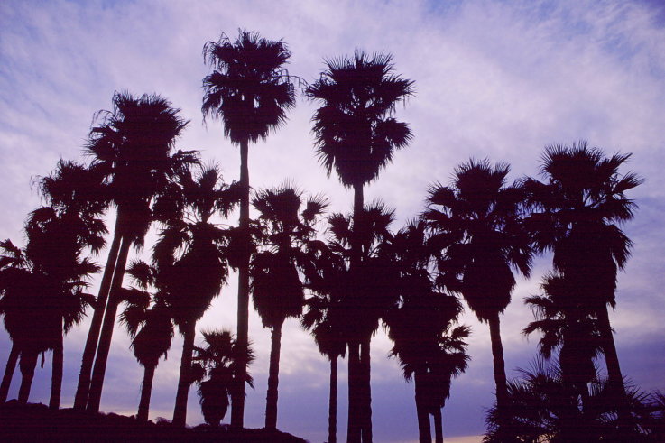 ���N���b�N�F�g�b�v�y�[�W�ɖ߂�A�E�N���b�N�F�摜����荞�ނƂ����ł��܂�