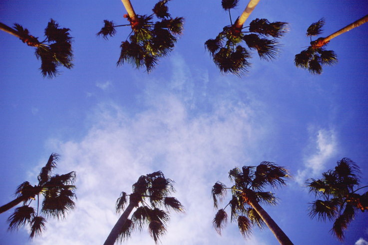 ���N���b�N�F�g�b�v�y�[�W�ɖ߂�A�E�N���b�N�F�摜����荞�ނƂ����ł��܂�