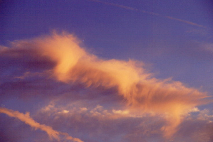 ���N���b�N�F�g�b�v�y�[�W�ɖ߂�A�E�N���b�N�F�摜����荞�ނƂ����ł��܂�